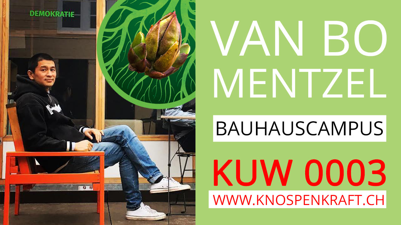 Vorschaubild KUW 0003: Van Bo Mentzel
